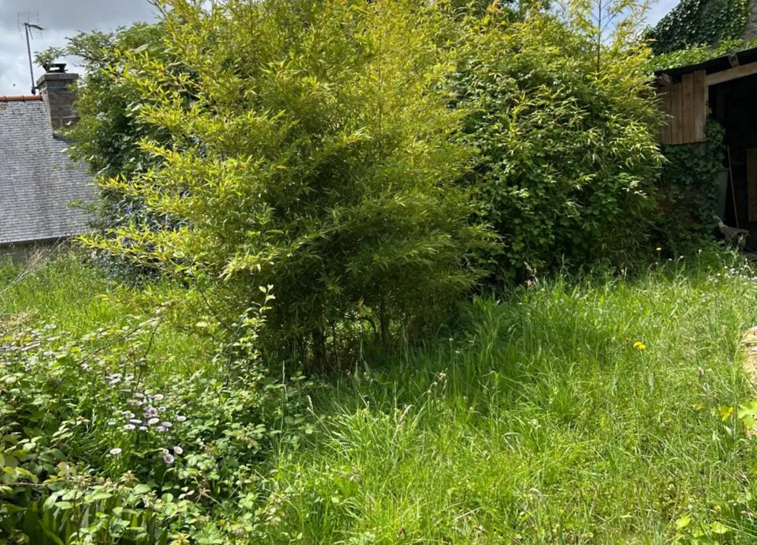 Gite Independant Renove A Neuf Saint Antoine 20 Personnes Pleubian France