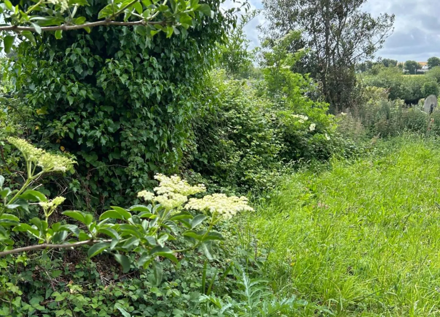 Hébergement de vacances Gite Independant Renove A Neuf Saint Antoine 20 Personnes Pleubian