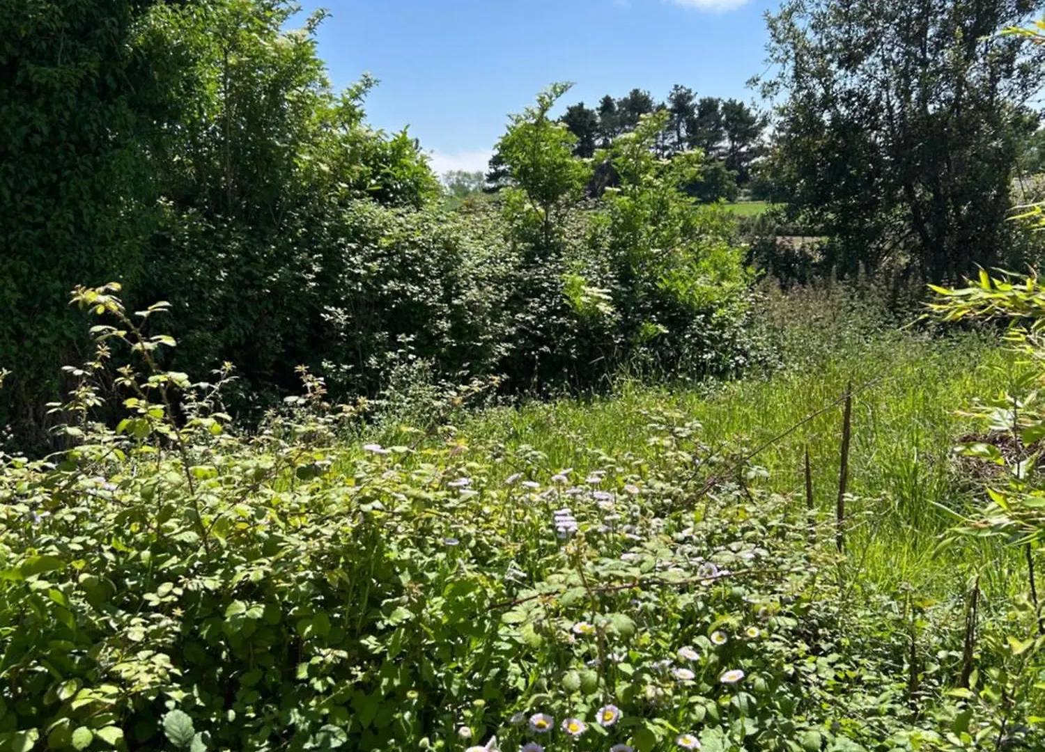 Gite Independant Renove A Neuf Saint Antoine 20 Personnes Pleubian 0*,  France